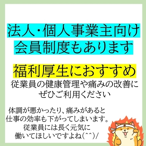 「好評だったため、整体にも導入します！」