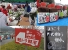 https://img2.mypl.net/image.php?id=826344&p=shopn&s=490_740&op=