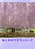 (期間限定)幻想的な\n藤の名所への旅「あしかがフラワーパーク大藤・館林つつじが岡公園 と佐野ラーメン（チケット）」