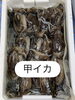 甲イカ「本日も営業致します」
