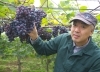 NASU WINE（渡邊葡萄園醸造） 渡邊嘉也さん | 那須塩原ブランド