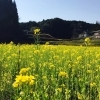 「春が来〜た〜」