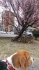 「季節の変わり目の体調」