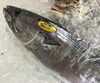 「魚魚市場鮮魚コーナーおすすめは「チカメキントキ」です♪」