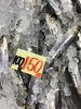 「魚魚市場鮮魚コーナーおすすめは、「バーベキュー3点セット」です♪」