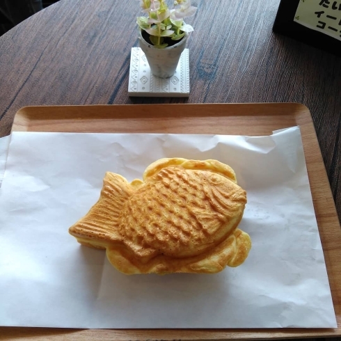 「本日のタイヤ日替わり♫久々登場♫スイートポテト❤️」