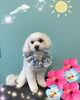 「可愛い子ちゃん♡ Dog salon mofu mofu 余市町」