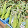 「農産物直売所では地元産の野菜がたくさん入荷します！」