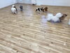みんなで走る💨💨「ましゅまろ幼稚園🐾」