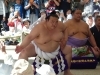 鹿島神宮 【横綱 稀勢の里】 鹿島神宮奉納土俵入りが開催されました