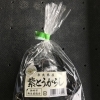 紫とうがらし（7月～10月末頃）