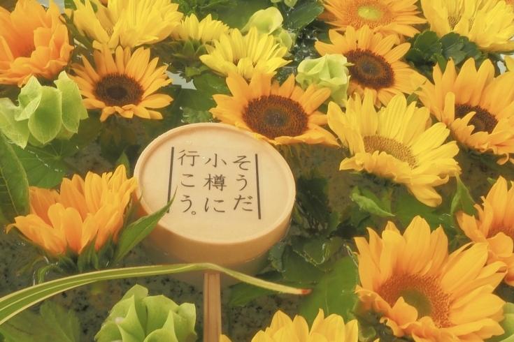 写真撮りたくなりますよね♪こんな柄杓が登場しました「7月の花手水が始まりました」