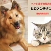 ヒロメンテナンス