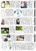 「ゆうゆう新聞2025年12月号」