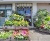 「フラワーショップ ももはな」