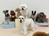 サク♡ねね♡嵐♡ぱん♡ぽん♡リリー　リーチ「ましゅまろ幼稚園🐾」