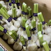 「パワーーー💪💪💪 今年もセリ場に「にんにく」が出荷される季節がやってきましたよー！」