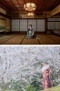 「studio TSUZURI（ツヅリ）」