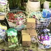 球根「球根第二弾&苔などなど入荷しました！」