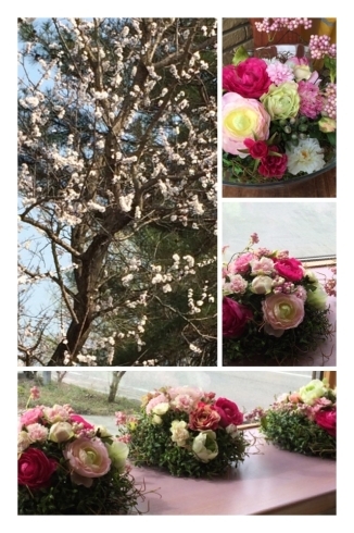 「桜の季節のディスプレイ」
