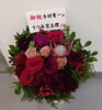 タレントのうつみ宮土理さんから毎回贈られてきます「慌ただしい休日」