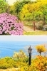 見渡す限りの花と海　日常を忘れる穏やかな時間が流れています。「ガーデンカフェ花曜日」