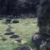 苔庭の様子。山のふもとにあるため南魚沼の四季を感じられます。「三峰山 永昌庵」