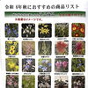 秋のおおすめ①