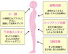 「美容カイロスタイルUP矯正」
