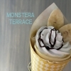 Monstera Terrace