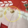 【Before】大切な着物にできてしまったシミ「近江屋呉服店」