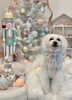 理玖くん「MerryXmas🎄」