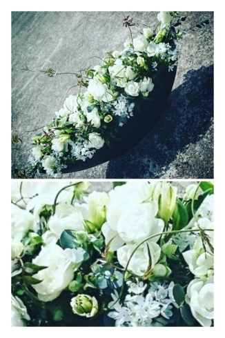「白い花たち」