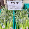 「赤色スイートコーン『大和ルージュ』入荷しました！道の駅木曽福島」