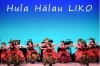 「フラダンス教室 Hula Halau LIKO」少人数制で本格Hulaを丁寧指導