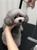 カット中〜「ご家族決まりました　^ - ^」