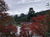 「京都紅葉🍁紀行③日目」