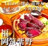 「土佐わら焼き 龍神丸 イオンモール筑紫野店」高知県産土佐わら焼き鰹（カツオ）と鯛釜めしを筑紫野で