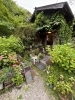 「法多山と可睡斎ゆりの園」