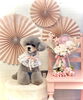 ここくん「Cherry blossom🌸」