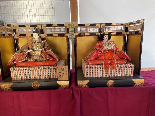 親王雛人「ひな祭りとサラダかぶ」