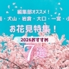 編集部オススメ！　江南・犬山・岩倉・大口・扶桑のお花見特集！