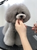 「冬のオプションキャンペーン　（＾ν＾）」
