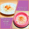 「今日のお友達」