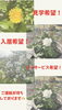 心地よい温もりに包まれ、毎日を豊かに。「有料老人ホームさんさん平島の施設紹介」