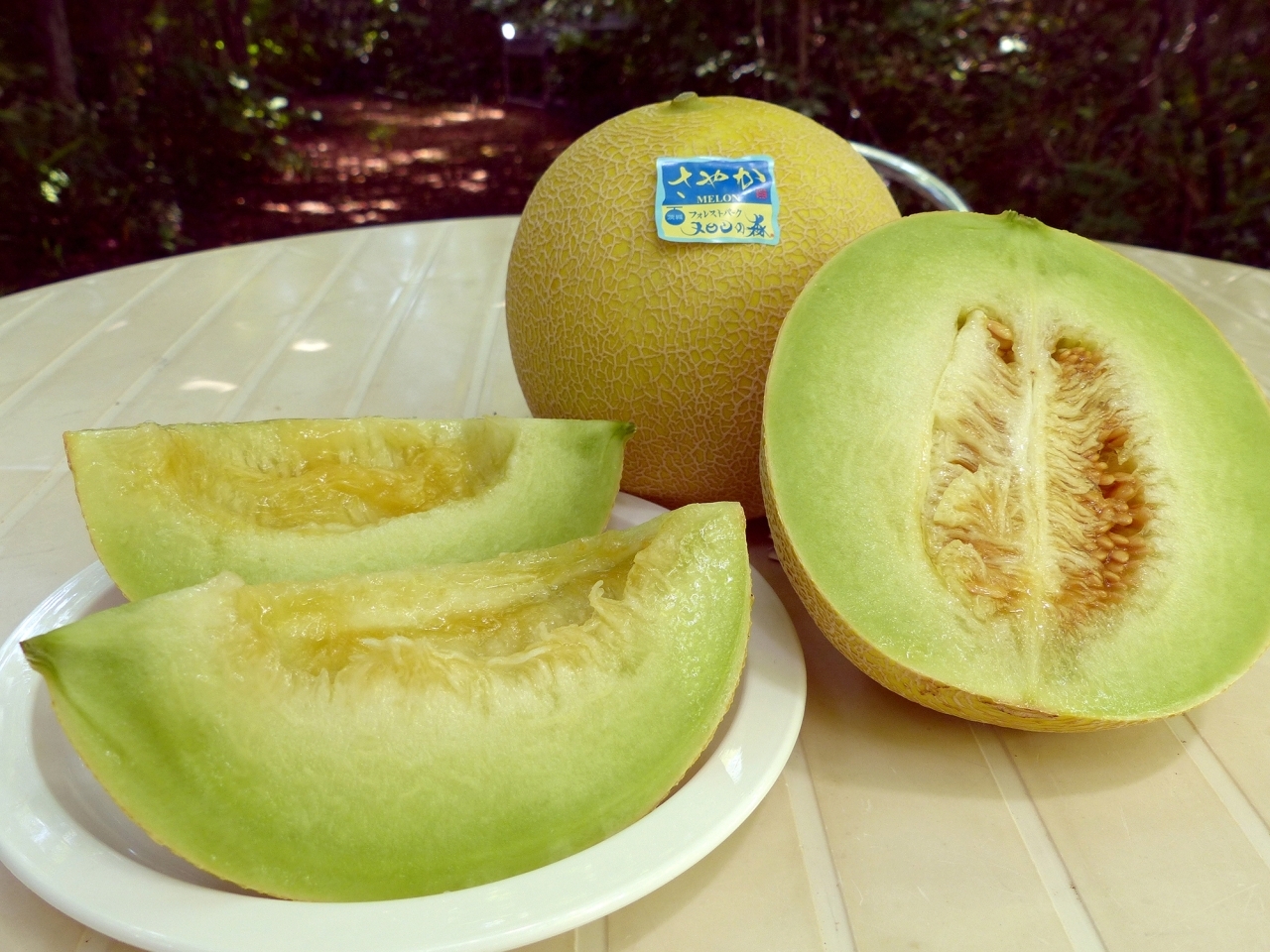 有 ライフステージ フォレストパーク メロンの森 春と秋のメロン狩り 常陸牛bbq ふるさと納税で日本を元気に 鉾田市 まいぷれ 鉾田市 有 ライフステージ フォレストパーク メロンの森 春と秋のメロン狩り 常陸牛bbq ふるさと納税で日本を元気に 鉾田市 まいぷれ 鉾田市