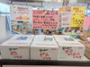「【西条市 小松町明穂】りんりんパークーさんで伊予柑を見つけていい予感！」