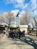 「2024新春「梯子乗り（はしごのり）」 氷川神社→高木神社→柴又帝釈天→立石仲見世＆アーケード→葛飾区役所◆2024年（令和6年）1月5日（金）『葛飾鳶伝統文化保存会＝葛鳶会（かっとびかい）』さん♪」