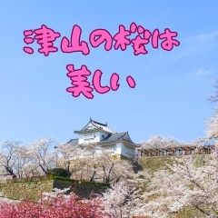 津山の綺麗な桜は市民の誇りです。