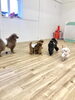 何して遊ぶか、会議中〜　笑「ましゅまろ幼稚園　٩(๑❛ᴗ❛๑)۶」